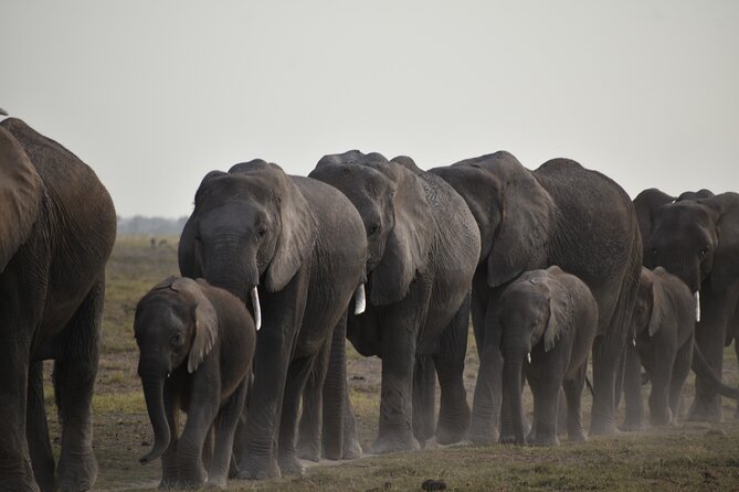 06 Days Kenya LuxuryLodge Safari - What the $2,570 price really covers