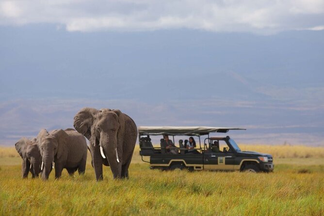1-Day Amboseli Safari - The eight-hour park visit