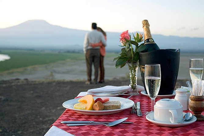 1-Day Amboseli Safari - Elephants, wetlands, savannah, and the dry lake bed