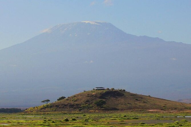 1-Day Amboseli Safari - Maasai culture after the wildlife drive