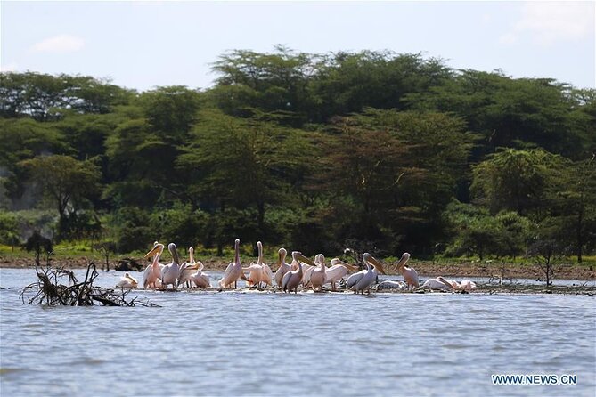 1 Day Bike Tour to Hell’s Gate And Lake Naivasha - Walking through the park’s gorges