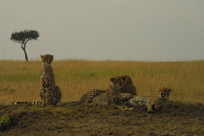 1-Day Maasai Mara Safari - Entering Maasai Mara National Reserve