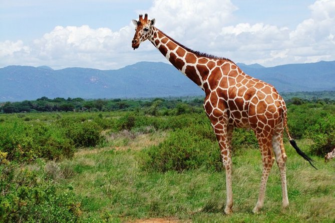 1 Day Shimba Hills starting from Diani Beach. - What makes Shimba Hills different from the coast