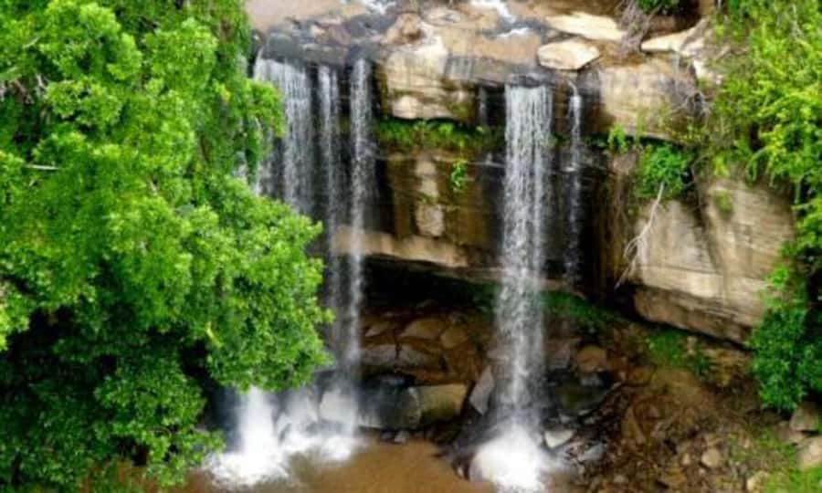 1 day Shimba Hills Tour - Key points to know before you book