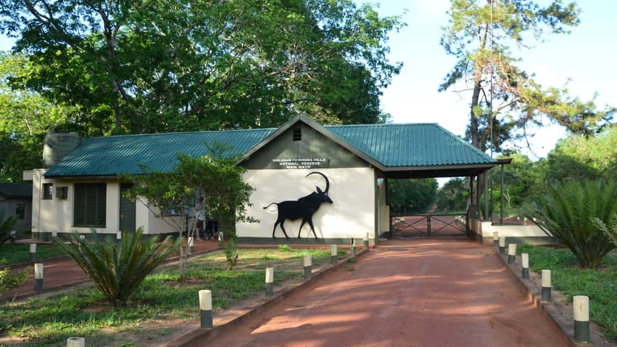 1 day Shimba Hills Tour - The morning game drive through forest and grassland