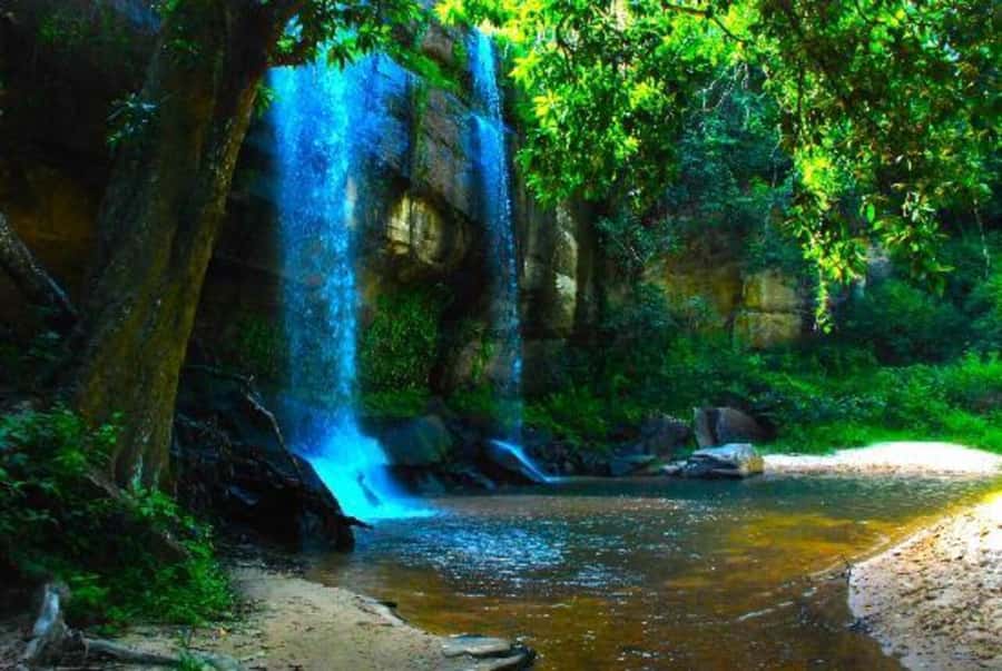 1 day Shimba Hills Tour - Languages, flexibility, and practical planning