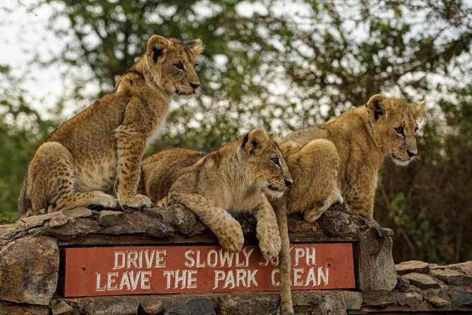 1 Day Tour Nairobi National Park,Giraffe Center&Karen Blixen - Why this Nairobi day tour works