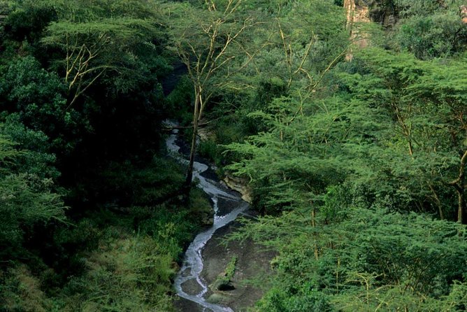 1 Day trip to Hells Gate and Lake Naivasha From Nairobi - Hell’s Gate by bicycle, with zebras beside the road