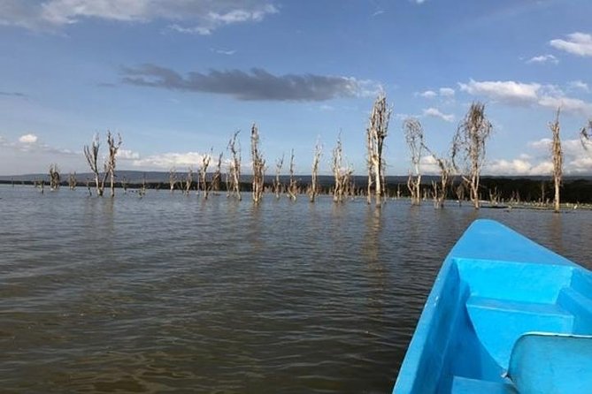 1 Day trip to Hells Gate and Lake Naivasha From Nairobi - Lunch, water, and the small details that matter