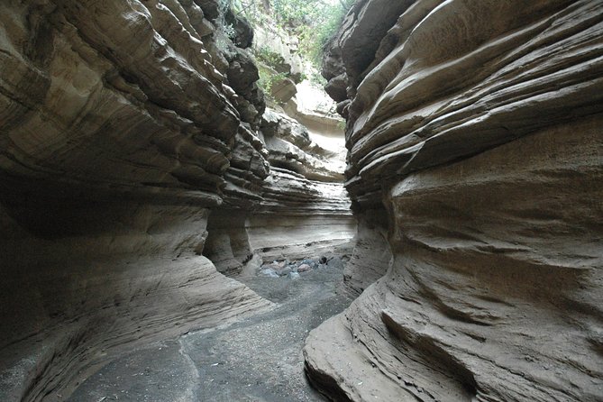 1 Day trip to Hells Gate and Lake Naivasha From Nairobi - Private transport, guides, and the personal touch