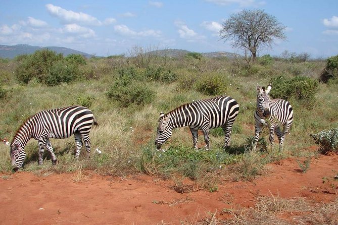 1-Day Tsavo East Safari From Mombasa - Key points at a glance