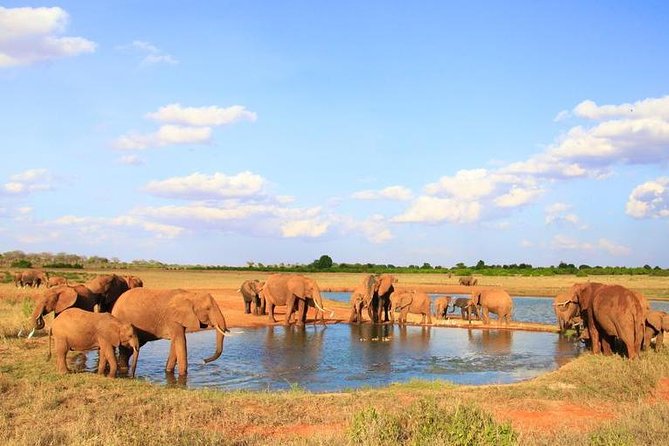 1-Day Tsavo East Safari From Mombasa - The 5:30 am start from Mombasa or Diani Beach