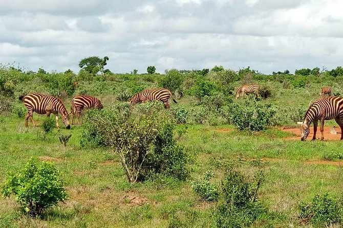 1 Day Tsavo East Safari ( Minimum 2 Pax) - Entering Tsavo East for the first game drive