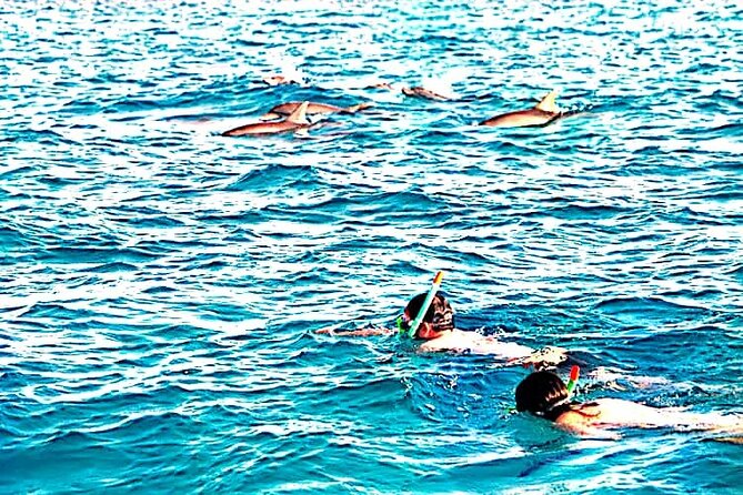 1 day wasini island ( Kisite Marine park) - How the Guide Affects the Day