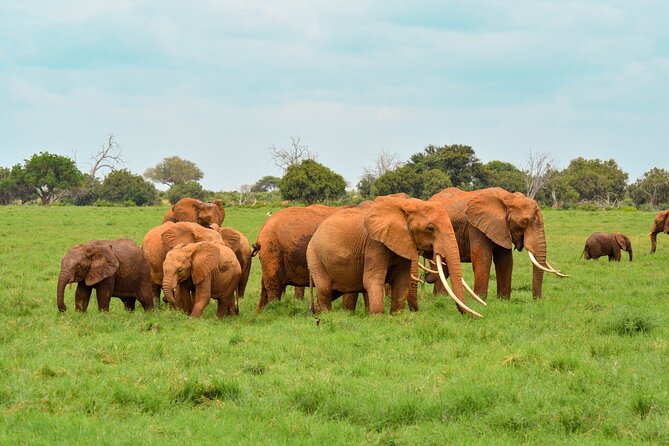 10-Day Private Tour in Big Five Safari and Beaches - Hell’s Gate and the Giraffe Centre
