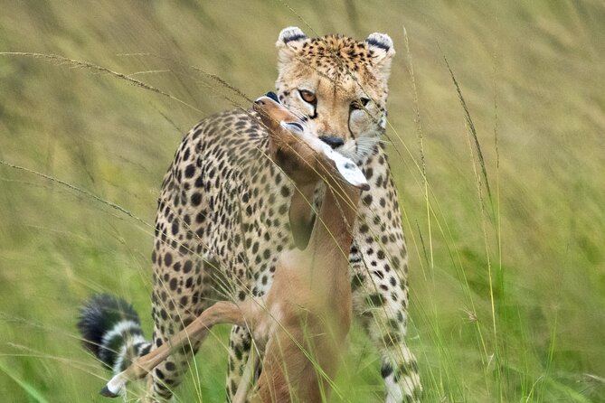 10-Day Private Tour in Big Five Safari and Beaches - What the $3,800 price really covers