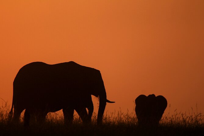 10 -Days Best of Kenya and Tanzania Classic Safari - Day 3: Lake Nakuru’s Rhinos and Birdlife