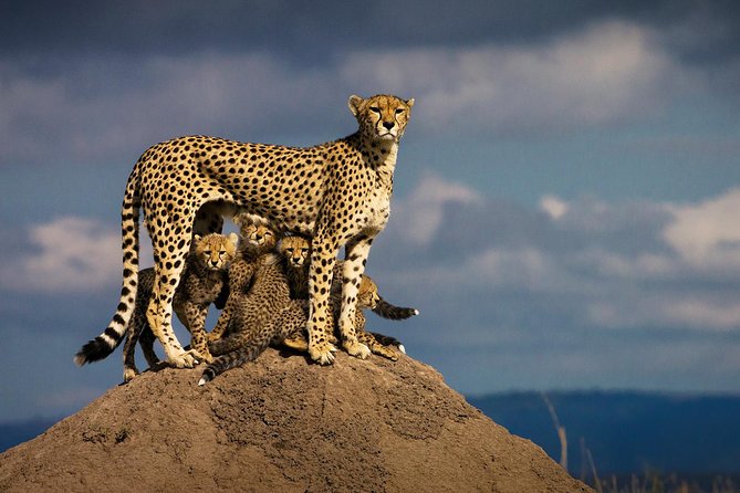10-Days Kenya Wildlife Private Safari and Mombasa Diani Beach Holidays - Days 7 and 8: Two open days on Diani Beach