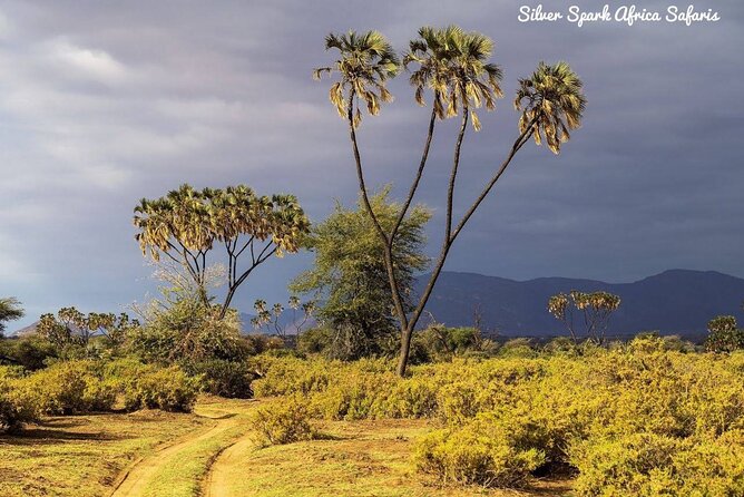 11-Day Serengeti, Maasai Mara, Tarangire, Amboseli Park - Elementaita offers a quieter evening