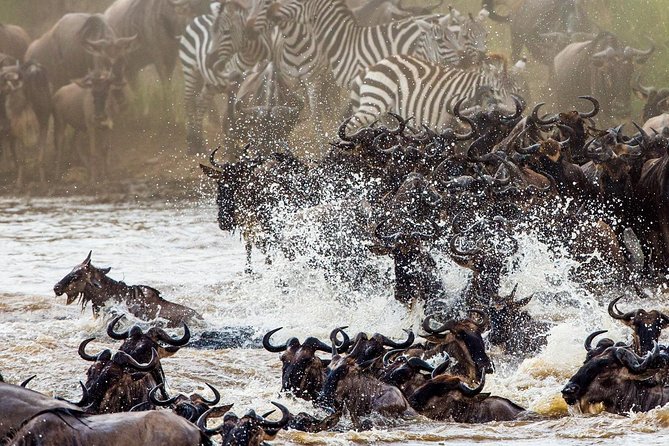 11-Days Best of Kenya & Tanzania Big 5 Safari on a 4x4 Jeep - Key points to know before booking