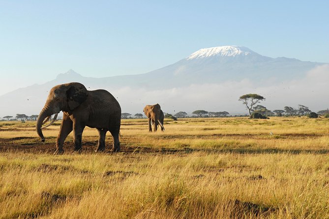 11-Days Best of Kenya & Tanzania Big 5 Safari on a 4x4 Jeep - Returning to Nairobi for your flight