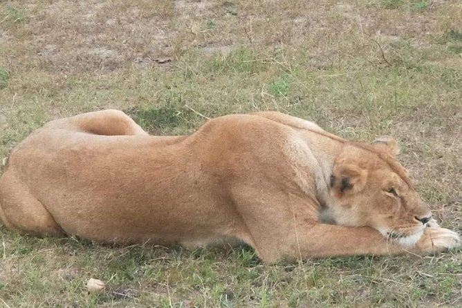 11 Days Guided Group Safari in Kenya And Tanzania - Days 4 and 5: Rhinos at Nakuru, elephants at Amboseli