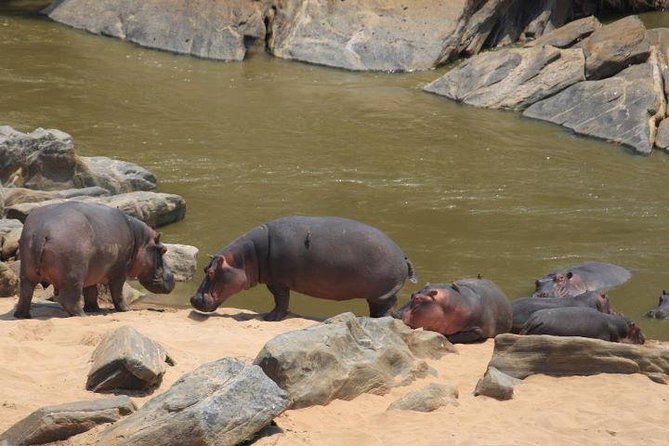 12 Days Kenya and Tanzania Budget Private Safari from Nairobi - Rift Valley views, Hell’s Gate, and Lake Naivasha