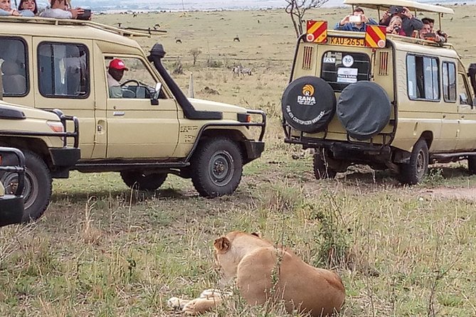 12 Days Kenya and Tanzania Budget Private Safari from Nairobi - Lake Nakuru and the search for black rhino