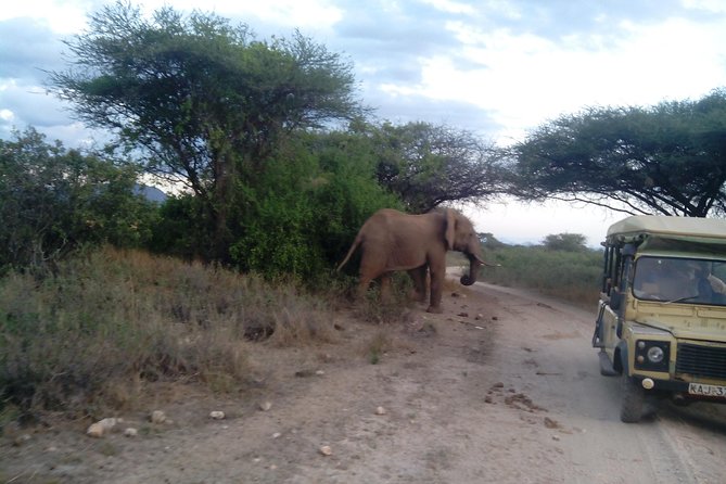 12 Days Kenya and Tanzania Budget Private Safari from Nairobi - Nairobi arrival and the first day