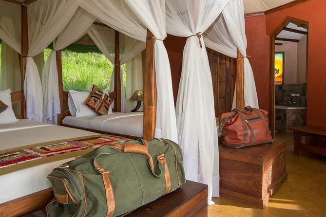 12 days Kenya and Tanzania safari private lodge from Nairobi - Days 4 and 5: The main Kenya safari at Maasai Mara