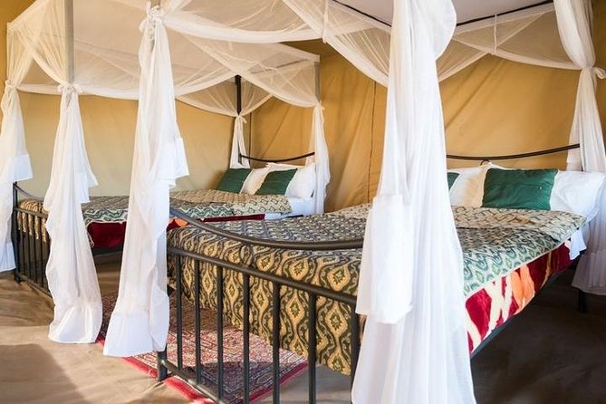 12 Days Kenya & Tanzania Safari Private Lodge Safari from Nairobi - The Isebania border and Tanzania’s Serengeti