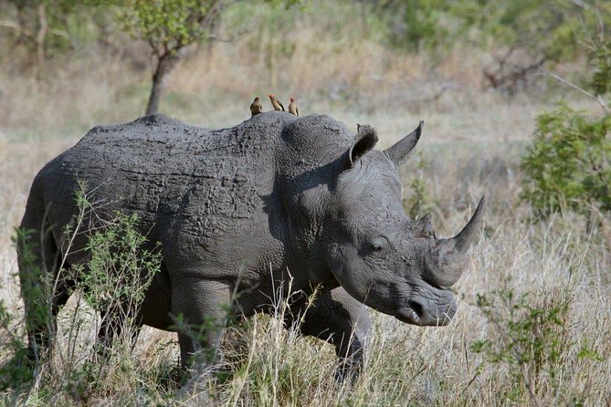 12 Days Kenya Tanzania wildlife Joining Tour - Starting in Nairobi with a gentle first day