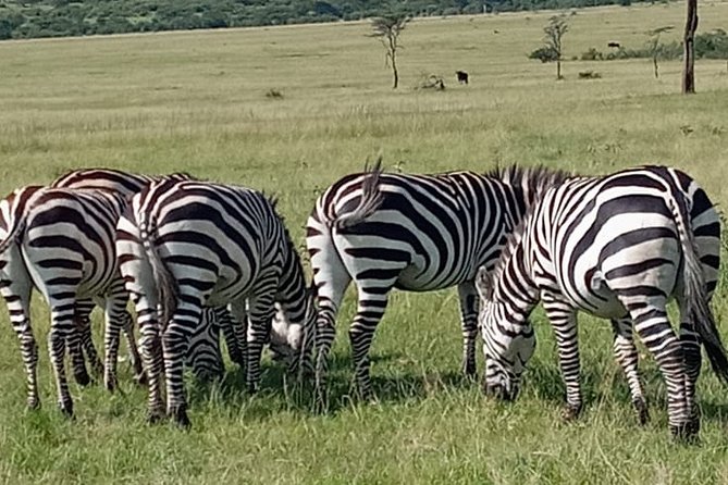 12 Days wildebeest migration Masai Mara Nakuru Uganda gorilla trekking safari - Days 7 and 8: Rest and Local Life at Lake Bunyonyi