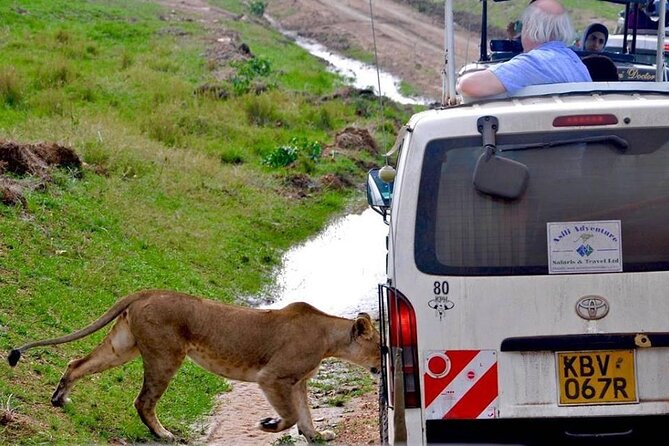 13-Day Private Wildlife Safari Tour of Kenya and Tanzania - Olduvai Gorge and the road to Ngorongoro