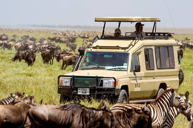 13 Days Best of Kenya and Tanzania BudgetSafari - Key points before you book