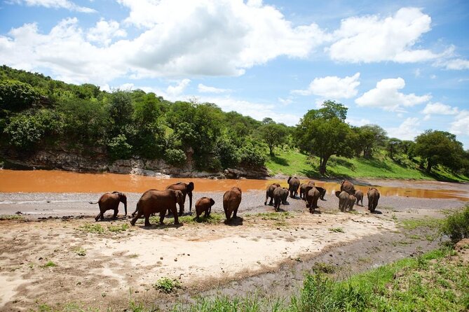 14-Days Kenya and Tanzania Camping Safari from Nairobi - Five things to know before booking