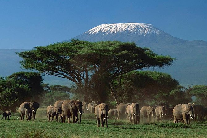 15 Days Classic Kenya & Tanzania + Zanzibar Beach Holiday - Key points before you book