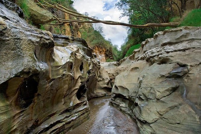 15 Days Classic Kenya & Tanzania + Zanzibar Beach Holiday - Day 4: Lake Naivasha, Hell’s Gate, and Crescent Island