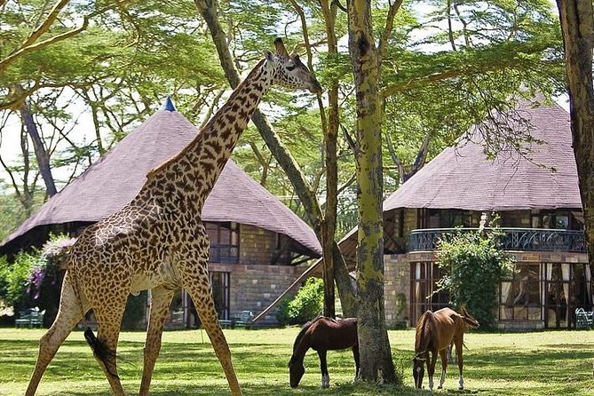 15 Days Classic Kenya & Tanzania + Zanzibar Beach Holiday - Day 8: Crossing from Maasai Mara into Serengeti