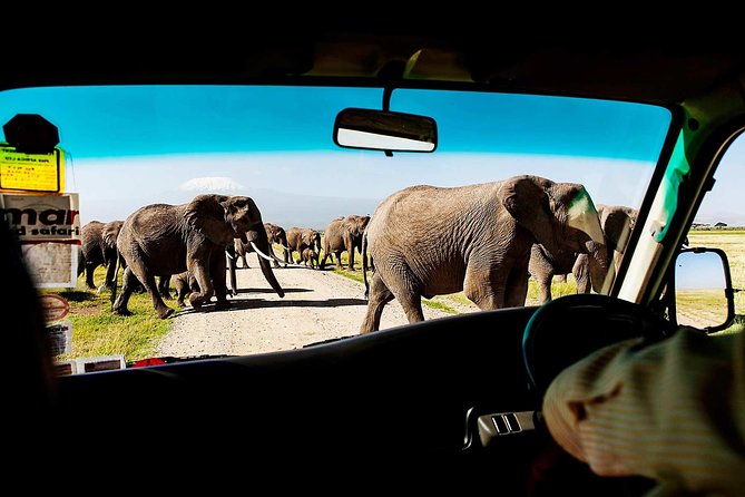 2-Day Amboseli National Park Safari- Daily Departures - Key points at a glance