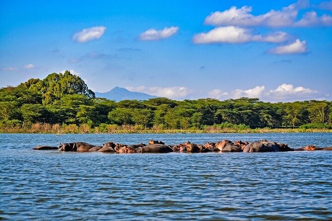 2-Day Hell's Gate, Crescent Island and Nakuru - Private Safari - The overnight stay and meals