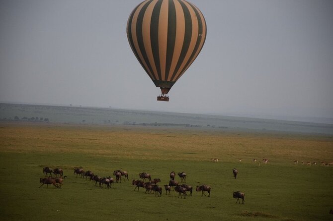 2-Day Private Tour in Masai Mara with Pick Up - The overnight stay and included meals