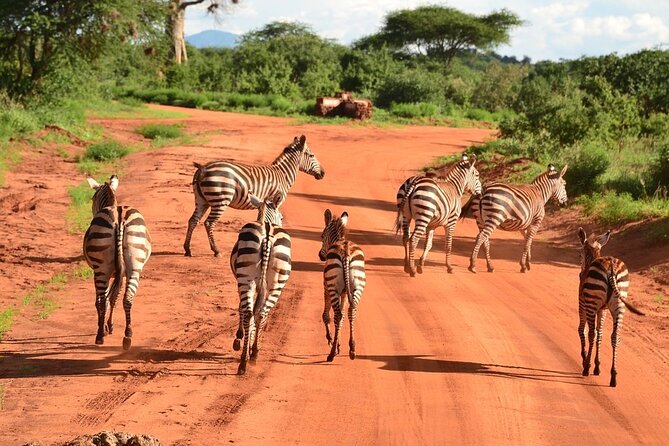 2-Day Private Tour in Tsavo East - Why Tsavo East works for a two-day safari