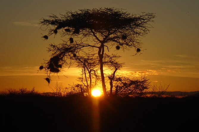 2-Day Private Tour in Tsavo East - First game drive through Tsavo East