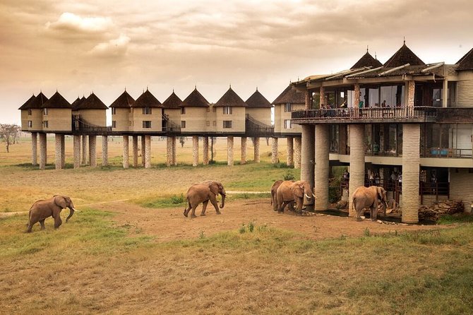 2-Day Safari in Taita Hills from Mombasa - The 4:00 p.m. game drive in Taita Hills