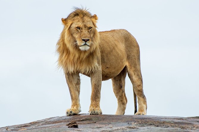 2-Day Tsavo East Private Tour - Key things to know before booking
