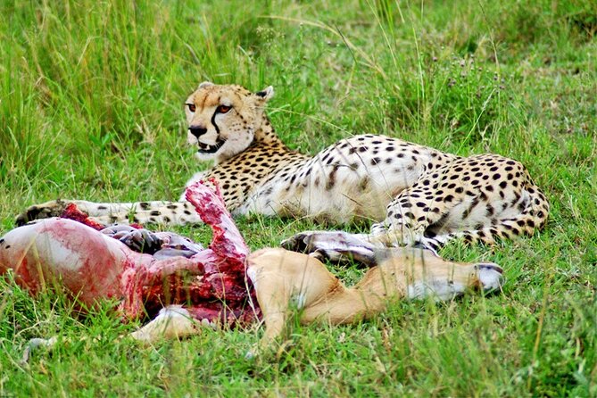 2 Days 1 Night Amboseli National Park Safari from Nairobi - Leaving Nairobi and stopping at Emali