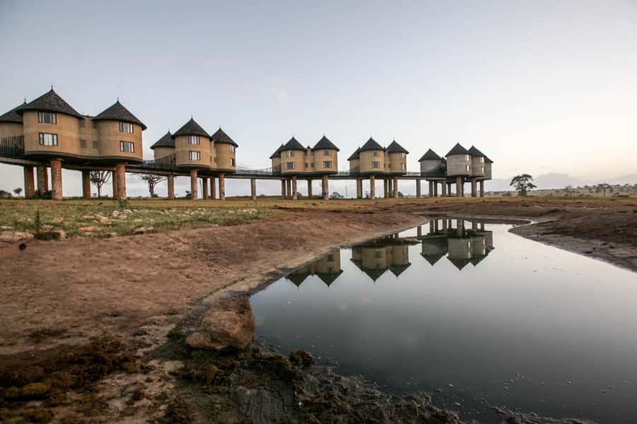 2 days 1 night saltlick safari from Diani/Mombasa - Why this short safari works from the coast