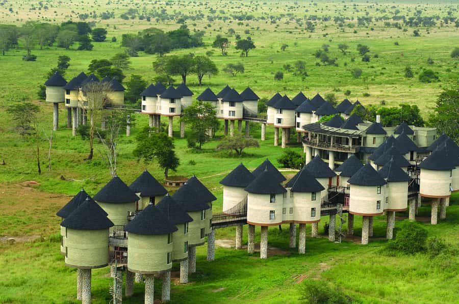 2 days 1 night saltlick safari from Diani/Mombasa - The early morning drive on day two
