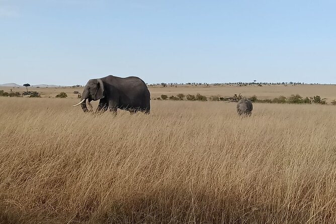 2 Days Adventurous Safari in Amboseli (Mid Range Tour) - What the $1,071.88 price buys you